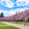 University of washington-seattle campus ranking