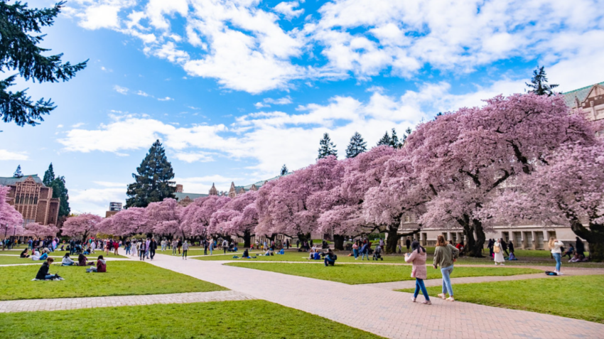 University of washington-seattle campus ranking