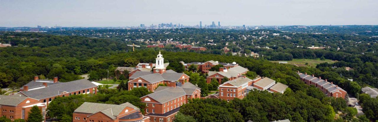 Bentley university ranking